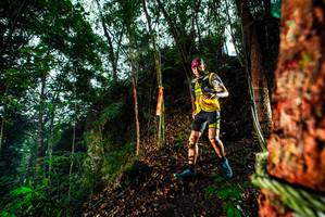 BIB: 
                            <button type="button" onclick="openModal(26198397)" class="btn btn-primary btn-sm float-right btn-popup" data-toggle="modal" data-target=".modal-high-quality">
                        <i class="fas fa-shopping-cart"></i> Add to Cart
                    </button>
                                            <button type="button" onclick="isThisMe(26198397, true)" class="btn btn-success btn-sm float-right btn-popup btn-isme hidden" data-toggle="tooltip" data-placement="bottom" title="นี่คือรูปของคุณใช่ไหม คลิกที่นี่เพื่อเอาเข้าอัลบั้ม">
                        <i class="fas fa-plus"></i> Add to album
                    </button>
                    <button type="button" onclick="isThisMe(26198397, false)" class="btn btn-warning btn-sm float-right btn-popup btn-isnotme hidden">
                        <i class="fas fa-ban"></i> Remove from album
                    </button>